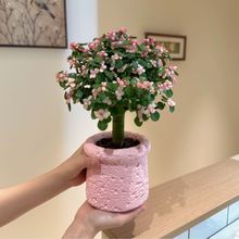 ��֦���~�����������Ϙ�����ֲ���ļ��_���҃��̨�Gֲ��������