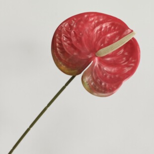 ����Gֲ�Z���~�߷��ָ�3D��ӡ���Q�Ƽt��ֲ���쾰�Ĕz�Ҿ�