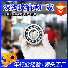 ������6000 6001 6002 6003 6004 6005 6006-2RS ZZ������