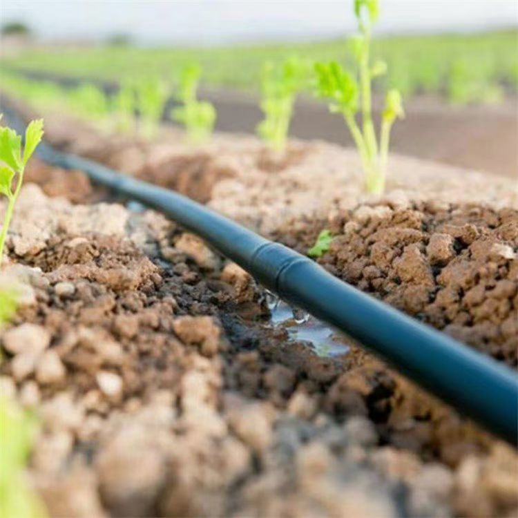 PE16mm tubo de goteo tubo de goteo cilíndrico insertado en compensación de presión para invernadero de tierra de cultivo y huerto image 2