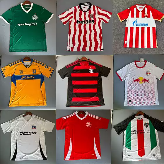 25-26 Hidden Gem Jerseys Flamengo Palmeiras America Romania Internacional Brasileirão Football Shirts