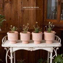 ���c��ɫ�����p�����f�t�������Gֲ����͸�����͏͹���������