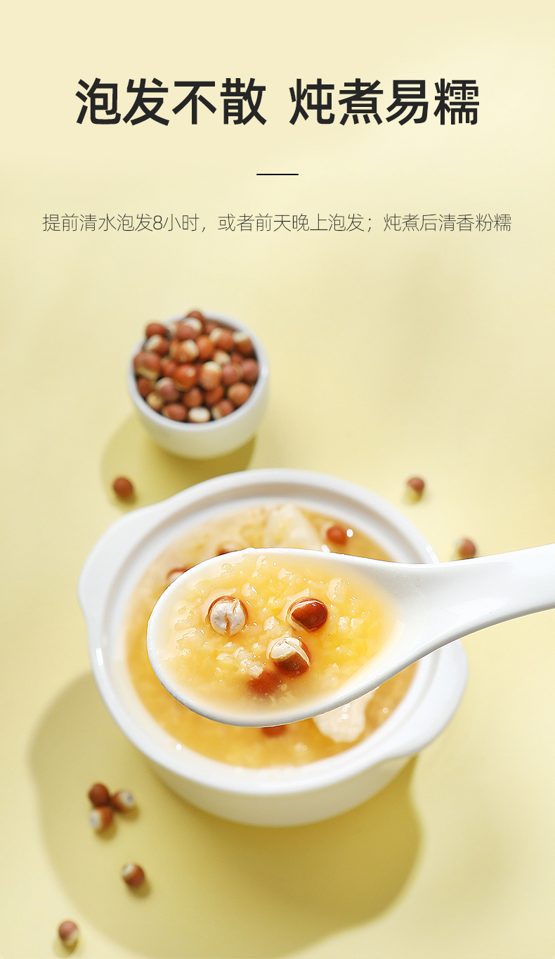 Dried Euryale Ferox Seeds Qian Shi 250g Jar Chinese Gorgon Nut for Soup and Congee quality and texture