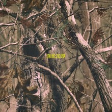 厂家 现货数码印花涤纶纱卡 图案逼真斜纹 大树帽子迷彩服装布料