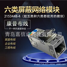 COMMSCOPE���ճ����/�������RJ45�W�jģ�K2153448-4��Ϣ����