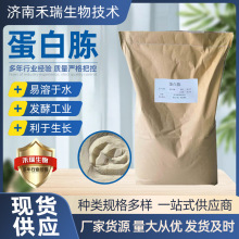 蛋白胨 发酵氮源培养基 微生物培养基原料  蛋白胨