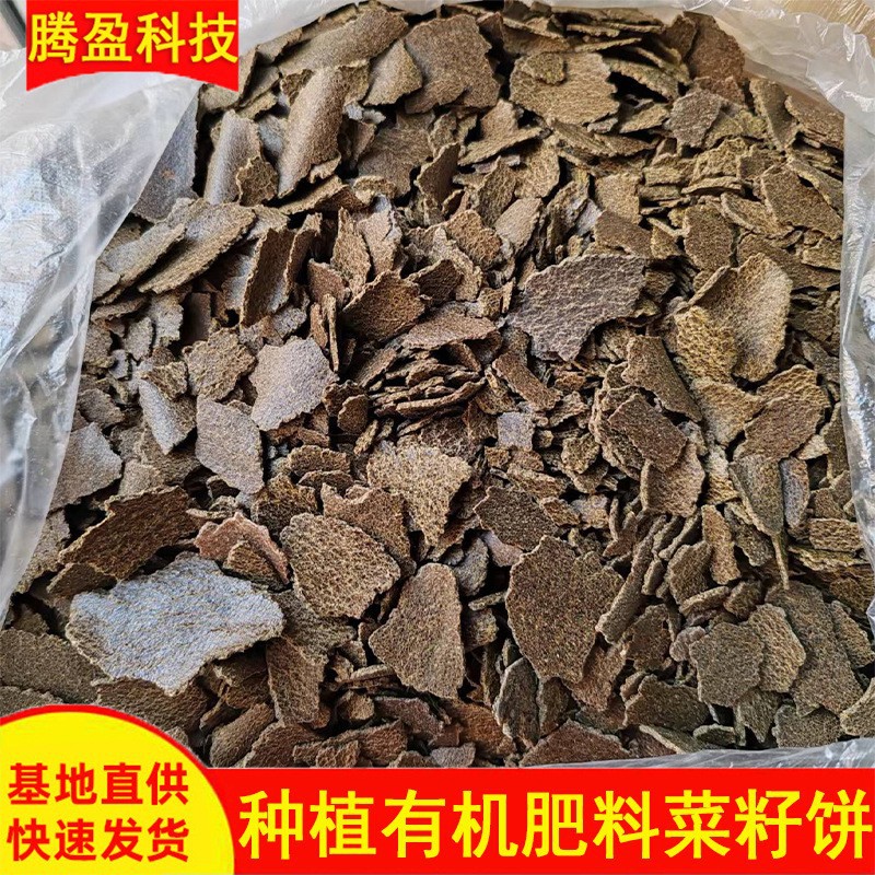 菜籽饼农家自榨油枯饼菜子饼钓鱼户外打窝野钓窝料斤大袋装