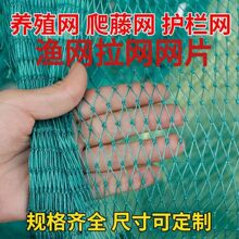 �O�W���W�WƬˮ�a�Bֳ�W�����Bֳ��W�B�u�W���ھW���B�W�s���Ї�