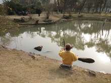 ���� �������W�߿����� ������̴����Ƥ����50������ʷ�֮녺���