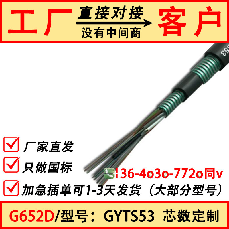 Gyts53-24B1.3 Armored Underground Optical Cable 36B1/48B1/16B1/Gyfta53-12B1 Single-Mode Fiber Optic