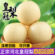 �ӱ��w�h�ʹ�����5��9�������������r����ˮ��ժ����ٰl������]