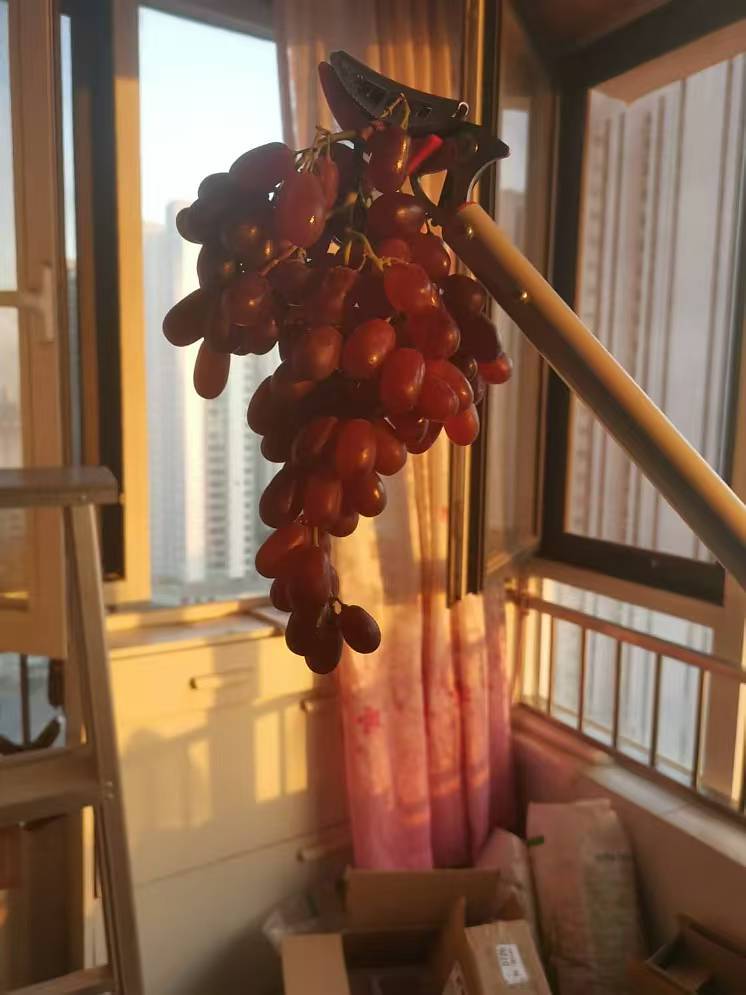 微信图片_20241223204638