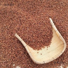 ɽҰȰؚڰl^ɢbоװlٰ^ؘ䚤Ӛ̫