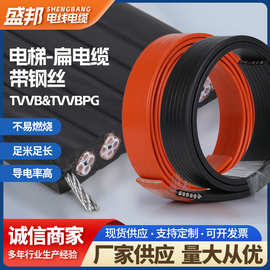 厂家供应 高柔性 随行扁电缆TVVBG行车电缆扁电缆线电梯空调光缆
