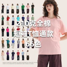 ��T��210��66ɫ���ވA�I��ʿ�ļ�T�������e͸�����������͸��