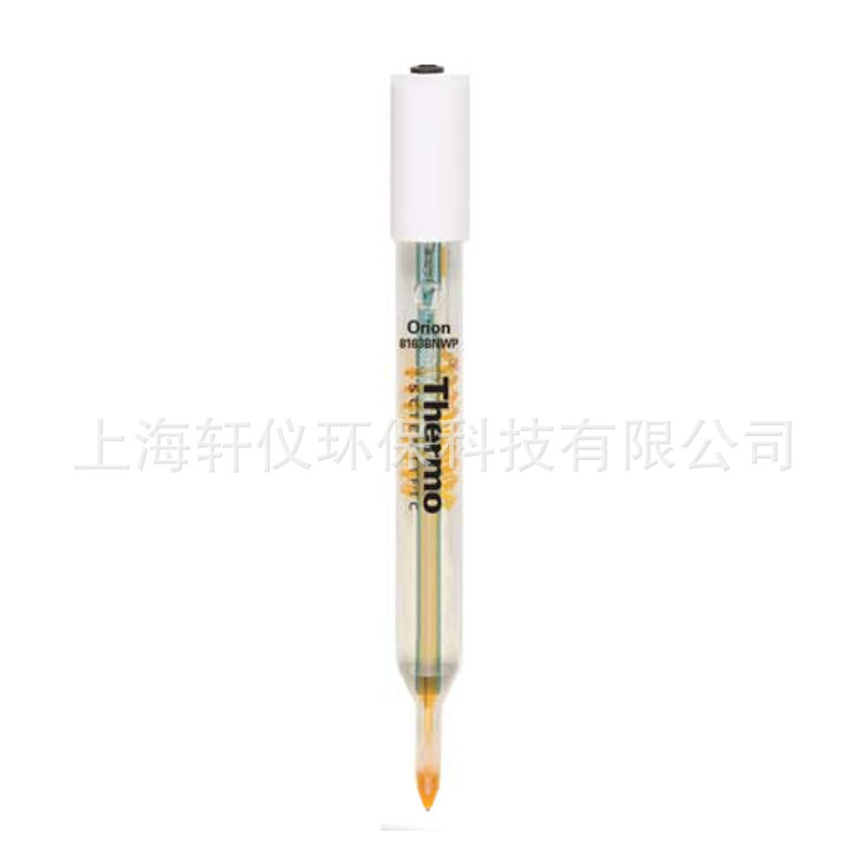 8163BNWP美国Thermo Orion奥立龙ROSS尖头复合pH电极