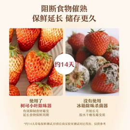 电吹风;空气净化器;USB风扇