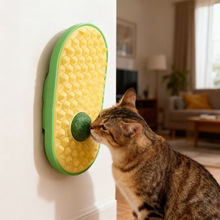 ؈������˽␞��ë��؈����С؈���؈���W�����ﱡ����؈��