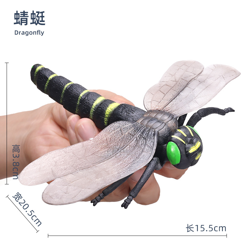 Libellule