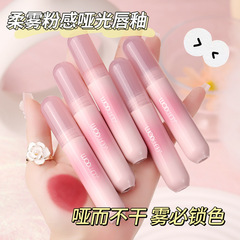 WODWOD Soft Mist Powder-Matte Lip Glaze: Matte, velvety finish that resists smudging—low-saturation, natural-looking shade perfect for a no-makeup makeup effect while enhancing your natural radiance!