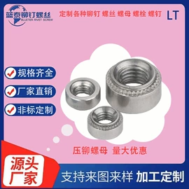 铆钉;螺钉;螺栓