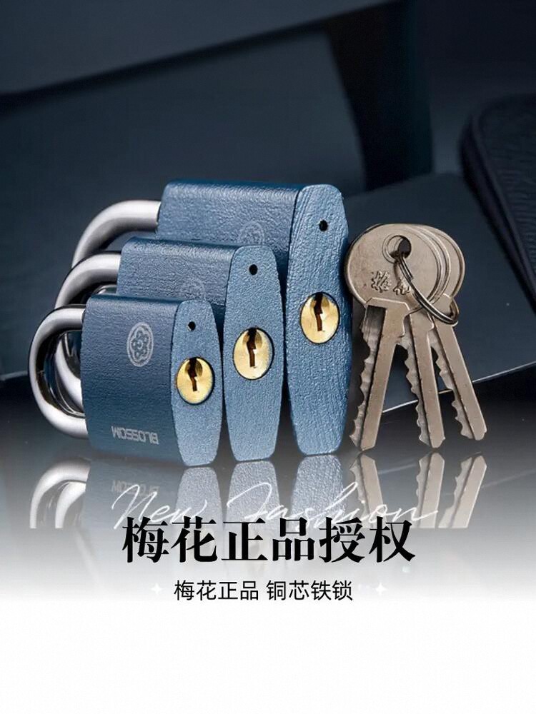 小挂锁多把钥匙户外大门防盗老式锁头大挂锁宿舍柜子锁正品梅花