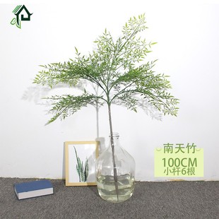 R˽ҾӷՇ҃辰[پGֲ