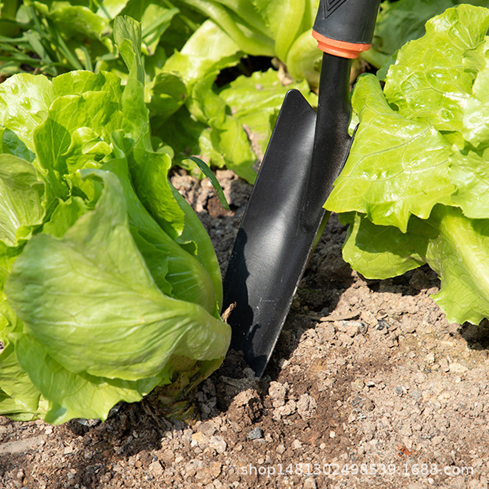 园林四件套黑胶柄五齿耙园艺工具铲花铲两用锄头果园花园种植挖土