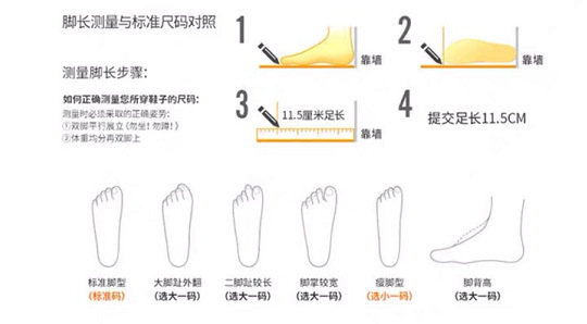 尺寸