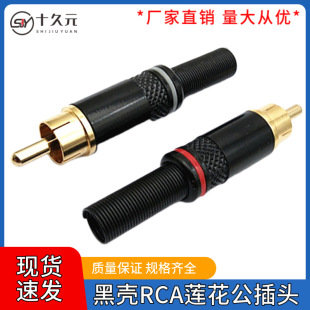 �ښ�僽�RCA����ɏ�������^�����LԒͲ������푵� AVҕ�l���l �^
