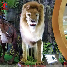 大型仿真狮子老虎模型电动机械仿生植毛动物展品人体感应机模道具
