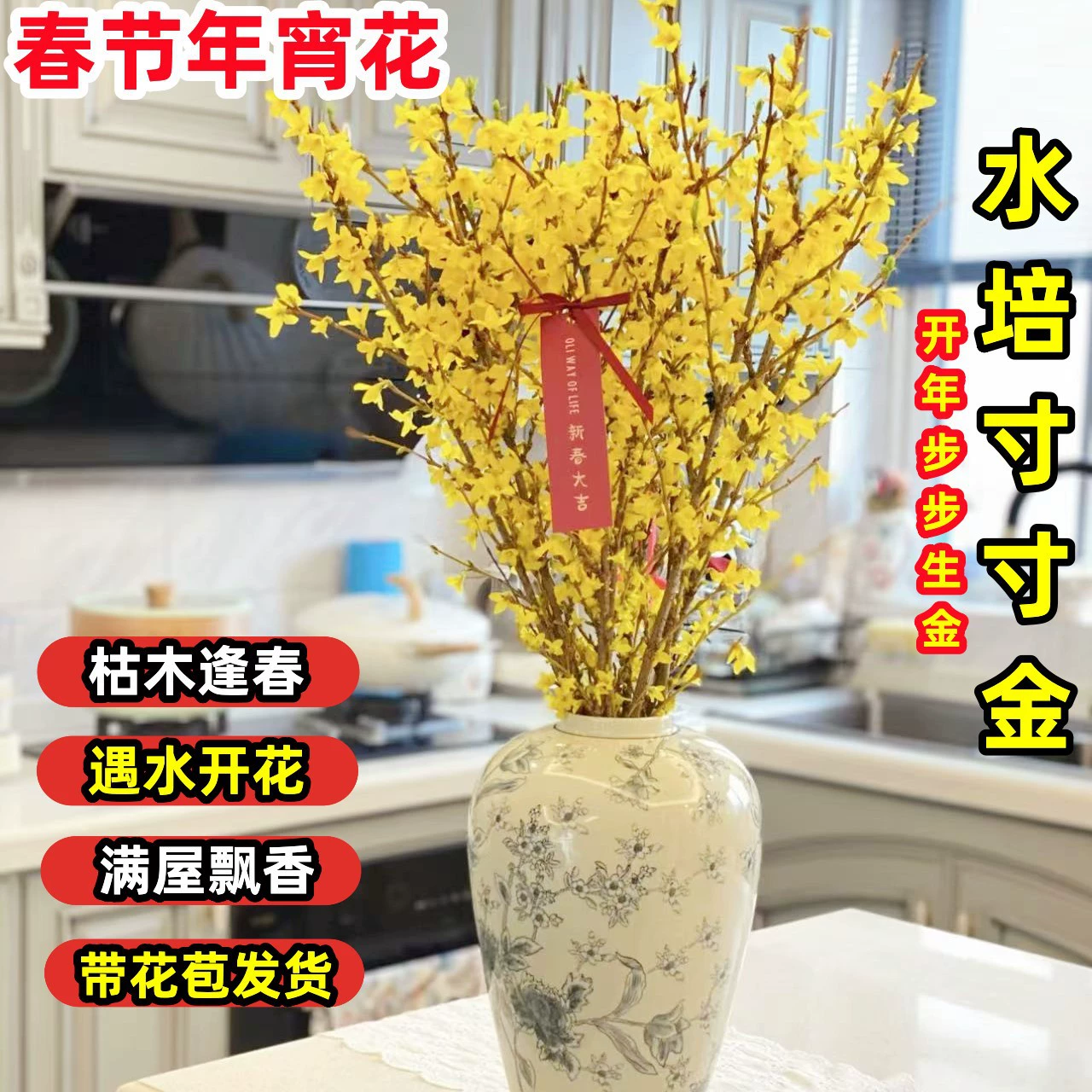 Гидропонные растения с высушенными ветками форсайты, свежесрезанные ветки для домашнего стола, китайские новогодние цветы, гидропонные ветки бегонии.