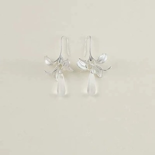 ��¶�w�������F������p��С���߼���2025�¿��¸ж��h