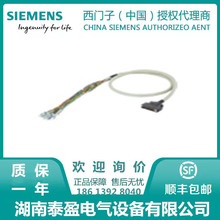 6ES7194-2LN15-0AA0���T�ӿ�������ᘌ�ET�B��M8/�ɶ���2���B����