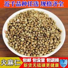 Ұɽ ������ ������ 500�������ʻ����ӻ������������錍������؛