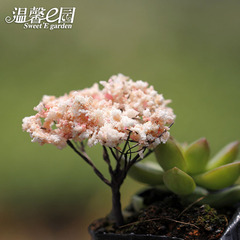 モスマイクロ風景シミュレーションクリスマスツリーシミュレーション花桜 DIY 装飾アクセサリーガーデニング造園小さな装飾品