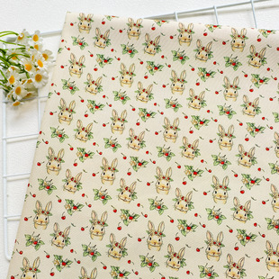 ���һ��h��ȫ��8��������20֧������������ɳ�l���ֹ�diy