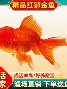 ���~���~��ˮ�~�^�p�~���B�ͻ���~�~�������tñ�����~