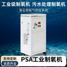 工业氧气发生器水产养殖93±3%纯度30L50L渔业用氧气供应系统