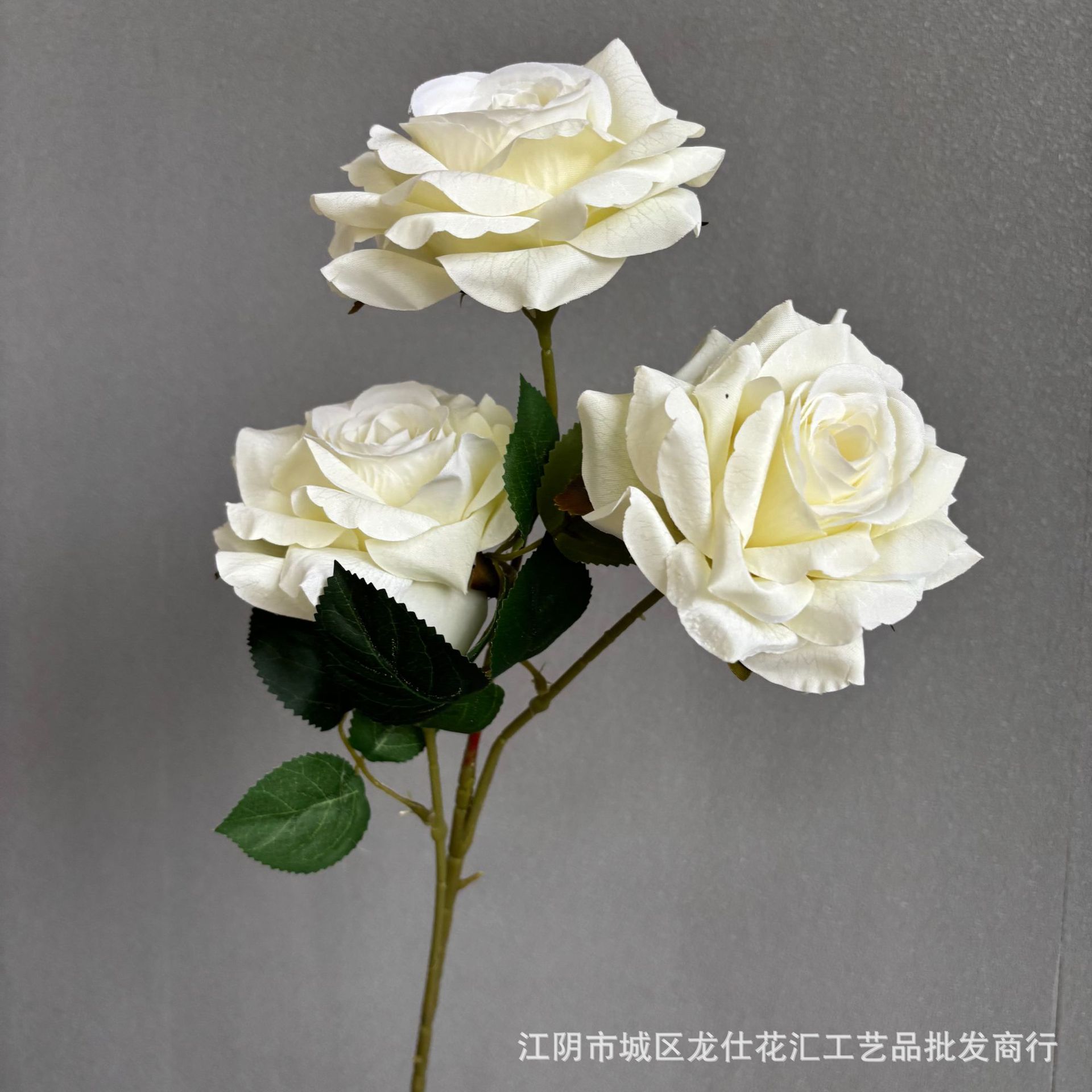 리치 로즈 화이트