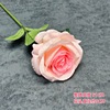 Realistic decorations, layout for St. Valentine's Day, jewelry, roses, wholesale