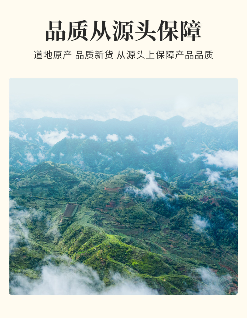 Jasmine Dragon Pearls Tea (Jasmine Green Tea) — Hengxian Fresh Crop Loose Leaf 500g in use