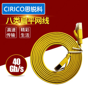 ����f�׾W�� CAT8�ƽ����40Gbps 2000MHz�W�j��ݔ�⾀2��