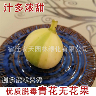 �o���������Ϲ������ןo������96��ͥԺ���Ե����ϱ����Nֲ������