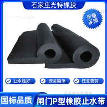 闸门P型橡胶止水带 密封条9字胶条闸门止水 建筑工程水利机械