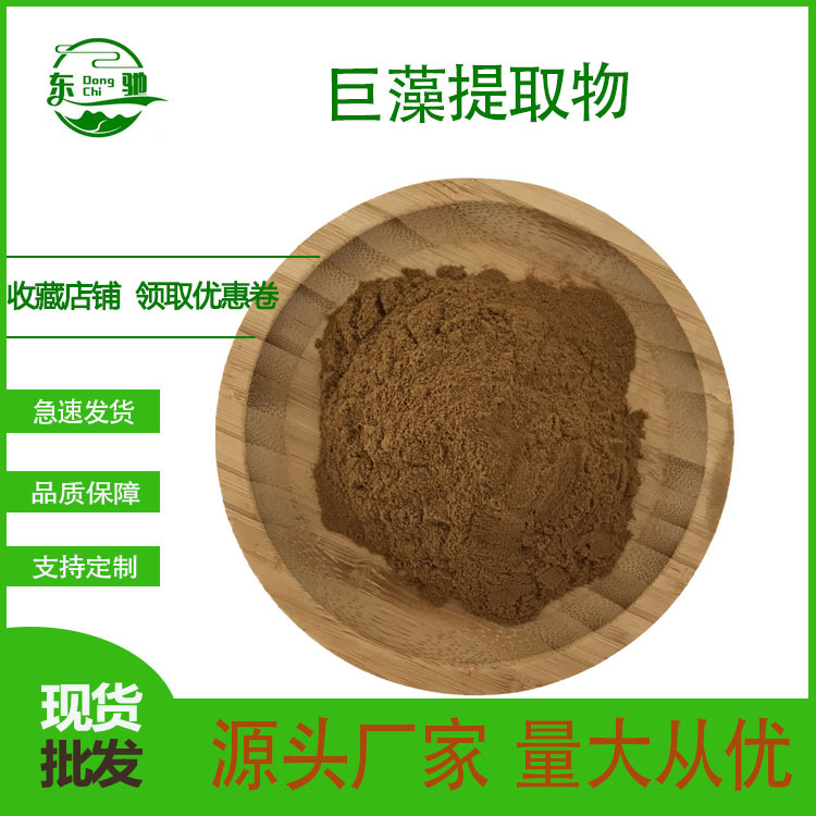 巨藻提取物  海藻王提取物 巨藻粉 巨藻浸膏 巨藻浸膏粉