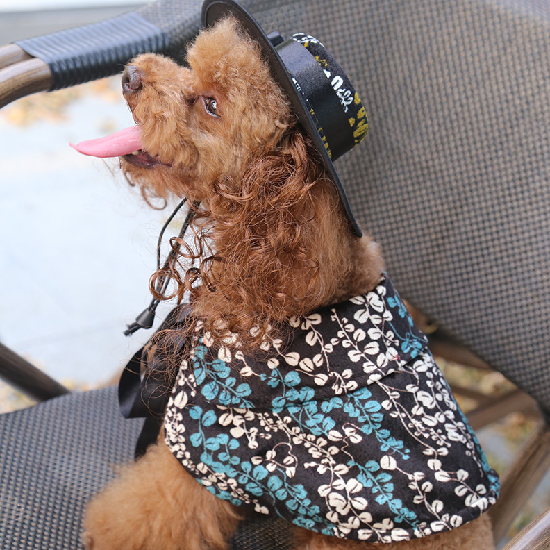 Costume di halloween per cani con mantello e cappello accessori_voghion.com