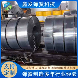 片弹簧;板弹簧;不锈钢带