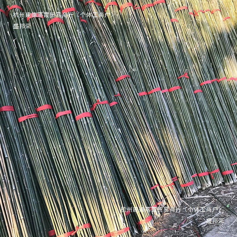 Бамбуковые шесты для садовой решетки, бобов, огурцов, помидоров, бамбуковые шесты, забор, флагшток, решетка для лазания, опора для выращивания овощей, бамбук.