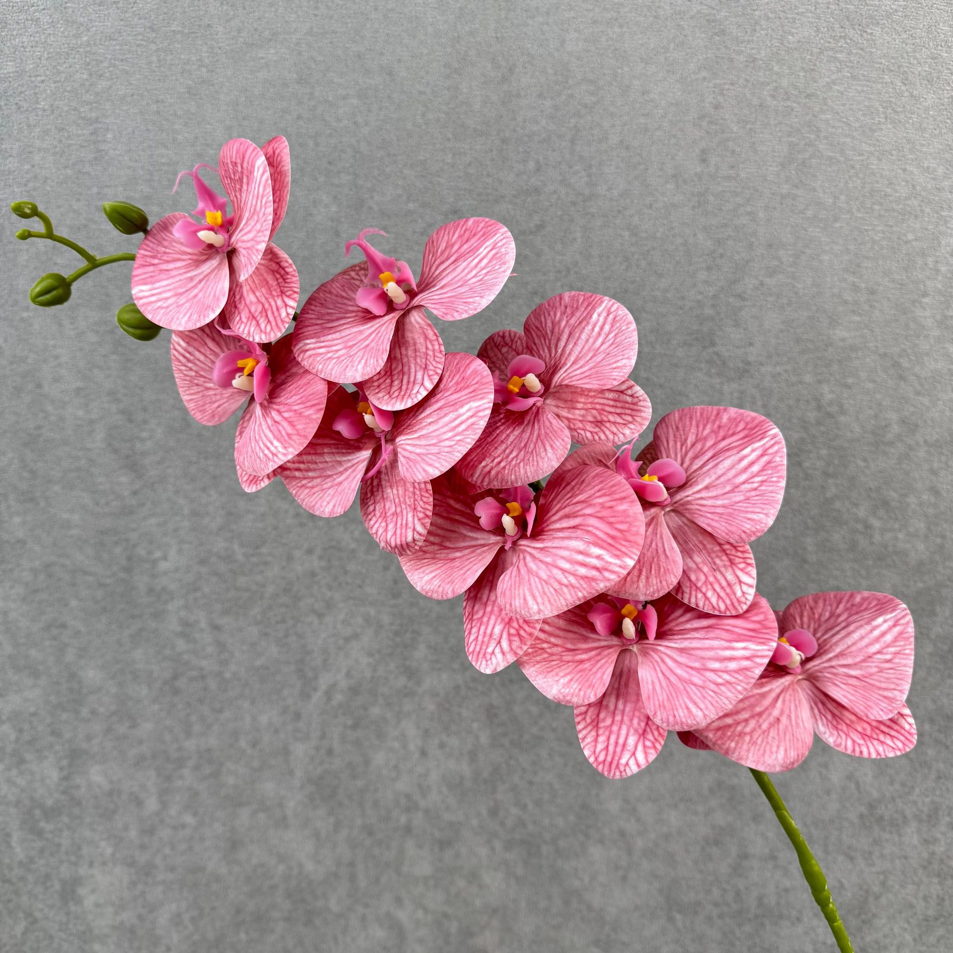Pink plum